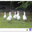 진산농장 이미지