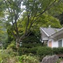 정선 도원펜션&캠핑장 이미지