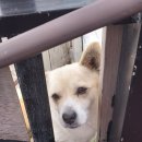 별아라카페 이미지