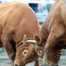 화산체육공원1 이미지