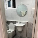 스테이오도록 이미지