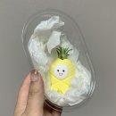 생활소품제작 | 집들이 선물 추천 틸란드시아 이오난사 사무실 미니 화분 식물 인테리어 소품 후기