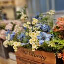 조항경로당 이미지