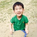 나비유치원 이미지