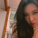 인디피프틴 이미지