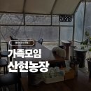 도도농장 | 물왕저수지 오리백숙 산현농장 솔직 후기, 어버이날 부모님 모시고 가기 좋은 이유