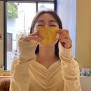 피그니트 이미지