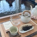 금붕어 | 유호재 티룸 후기｜금붕어 물멍 가능한 경주 감성 카페 솔직 리뷰