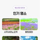 자연과힐링 이미지
