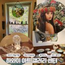 하와이 여행 빅아일랜드 화산국립공원 아트 갤러리 센터