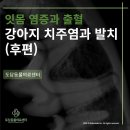 서울대동물종합병원 이미지