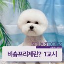 스퀘어에듀센터 이미지