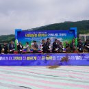 종합청사 이미지