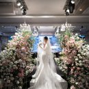 노보텔앰배서더강남 | 본식스냅DVD 꽃길필름(노보텔 앰배서더 강남) 후기