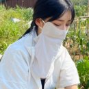 엔젤문고 이미지