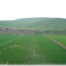 김종필농장 이미지