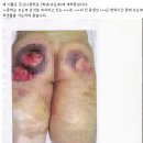진상중학교 이미지