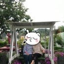 어떤하루펜션 이미지