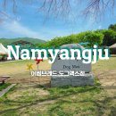 도그아이 | 남양주 소형견 애견카페 3000평 애견운동장 어썸브레드 도그맥스점