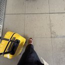 리버앤휴 | kyoto &amp; osaka 여행기 🌿🍃🍀🤍 - 오사카