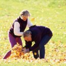 건강하소 이미지