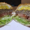 카페나무 이미지