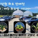봉강난원 이미지
