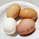 봄빛농장 이미지