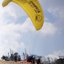 패러그린 이미지