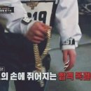 피보크카페피보크