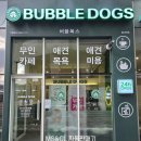버블독스 별내역점 이미지