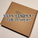 태명 | 「후기」 일상유희 초음파 앨범 후기 구성품 태명 각인 내돈내산 파우더민트