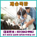 제승목장 이미지