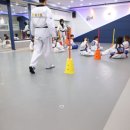 진영라온태권도장 이미지