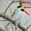 은평역사한옥박물관 이미지