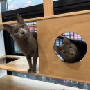 동엽에너지 이미지