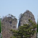 봉화 청량산에 봄이 오네.