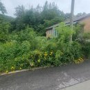 고려산자락 작은 계곡 터 넓은 하점면 캠핑장 연수원 부지788평건24평,3억9000만원,강화부동산 이미지