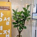 육일광학 이미지