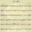 하얀민들레 이미지