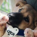 진웅주유소 이미지