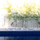 더설렘풀빌라 이미지