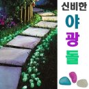 형광인테리어 이미지