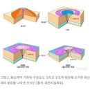 상모1교차로 네이버블로그