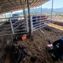 미력축산 이미지