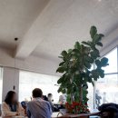 마가진(Magasin) 이미지