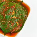 P-6955 코메디닷컴