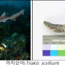 큰무리어촌체험·휴양마을 이미지