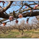 정비사업 행정법률 사무소 이미지