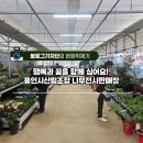 ㈜희망을심는나무 | <#현장취재기> 행복과 꿈을 함께 심어요! 용인시산림조합 나무전시판매장